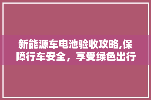 新能源车电池验收攻略,保障行车安全，享受绿色出行