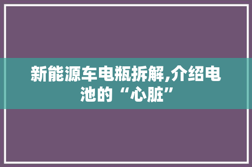 新能源车电瓶拆解,介绍电池的“心脏”