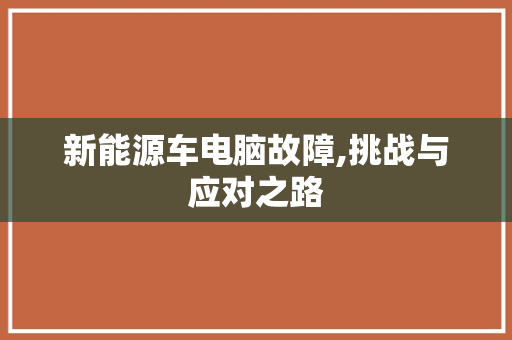 新能源车电脑故障,挑战与应对之路