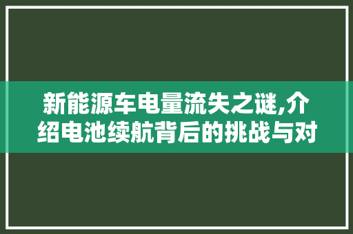 新能源车电量流失之谜,介绍电池续航背后的挑战与对策