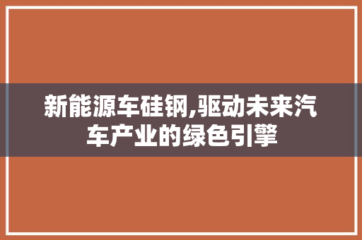 新能源车硅钢,驱动未来汽车产业的绿色引擎