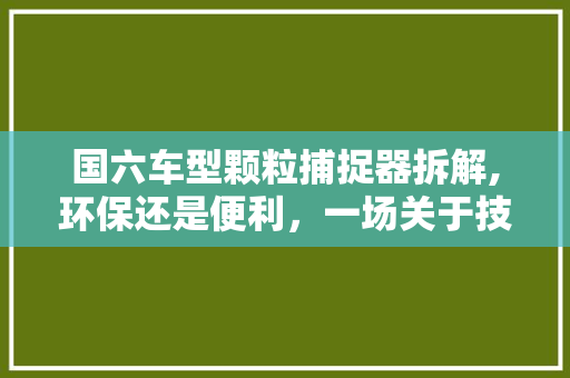 国六车型颗粒捕捉器拆解,环保还是便利，一场关于技术的思辨