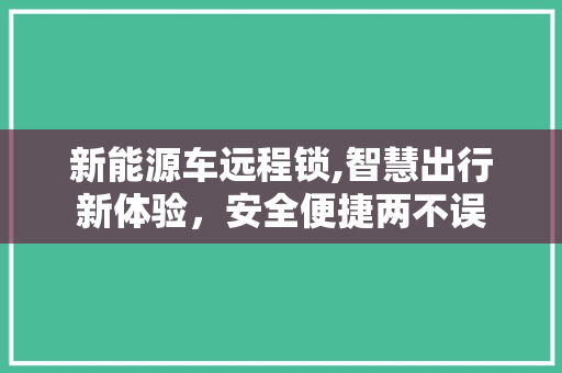 新能源车远程锁,智慧出行新体验，安全便捷两不误
