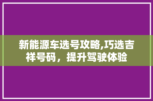 新能源车选号攻略,巧选吉祥号码，提升驾驶体验