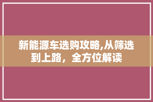 新能源车选购攻略,从筛选到上路，全方位解读