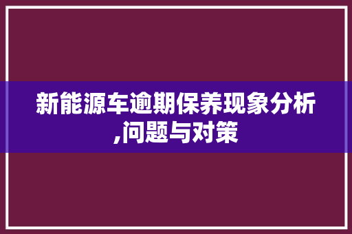 新能源车逾期保养现象分析,问题与对策