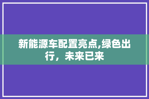 新能源车配置亮点,绿色出行，未来已来