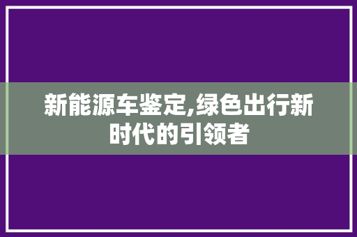 新能源车鉴定,绿色出行新时代的引领者