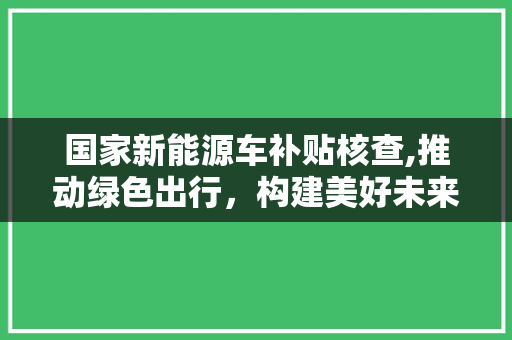 国家新能源车补贴核查,推动绿色出行，构建美好未来