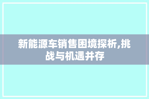 新能源车销售困境探析,挑战与机遇并存
