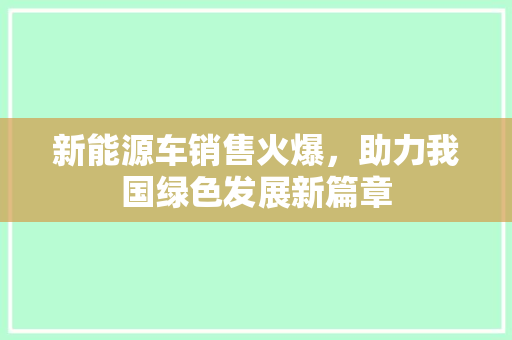 新能源车销售火爆，助力我国绿色发展新篇章
