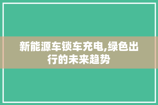 新能源车锁车充电,绿色出行的未来趋势