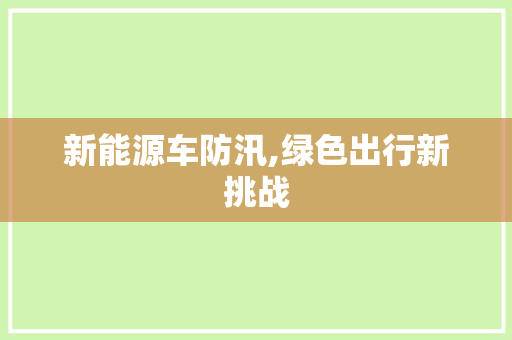新能源车防汛,绿色出行新挑战