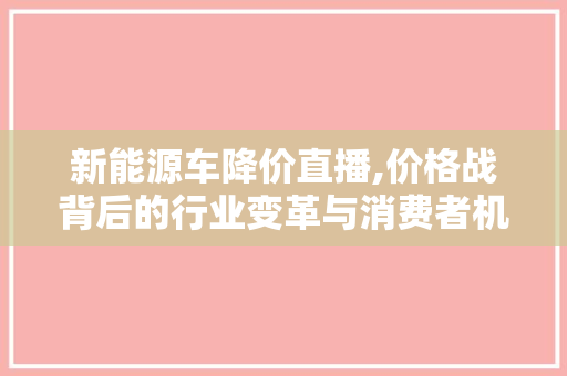 新能源车降价直播,价格战背后的行业变革与消费者机遇