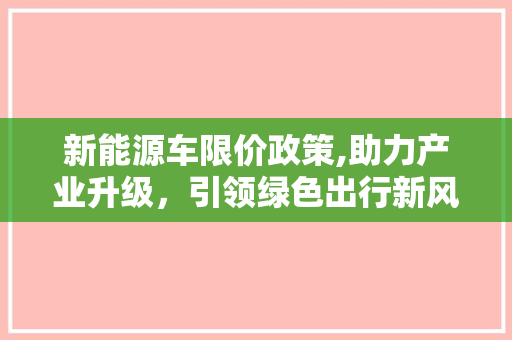 新能源车限价政策,助力产业升级，引领绿色出行新风尚