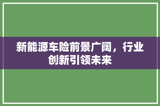 新能源车险前景广阔，行业创新引领未来