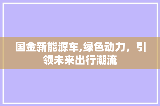 国金新能源车,绿色动力，引领未来出行潮流