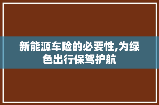 新能源车险的必要性,为绿色出行保驾护航