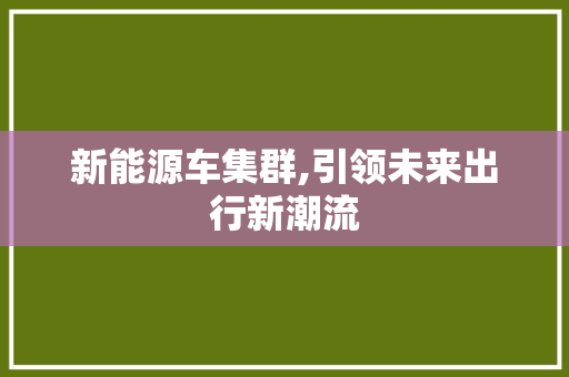 新能源车集群,引领未来出行新潮流
