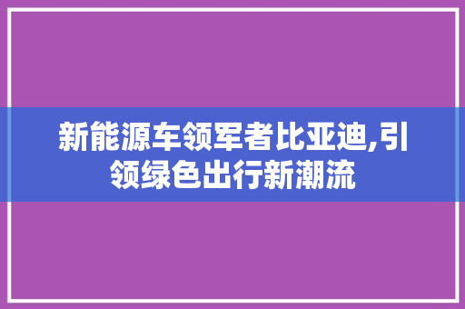 新能源车领军者比亚迪,引领绿色出行新潮流