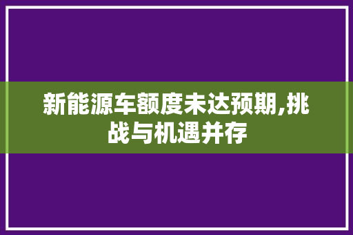 新能源车额度未达预期,挑战与机遇并存