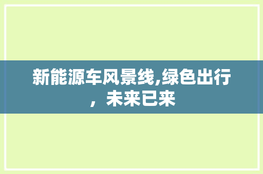 新能源车风景线,绿色出行，未来已来