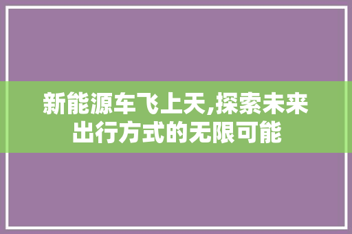 新能源车飞上天,探索未来出行方式的无限可能