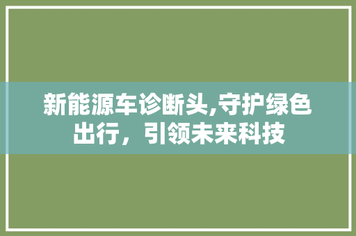 新能源车诊断头,守护绿色出行，引领未来科技