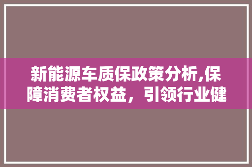 新能源车质保政策分析,保障消费者权益，引领行业健康发展