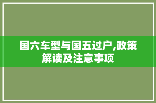 国六车型与国五过户,政策解读及注意事项