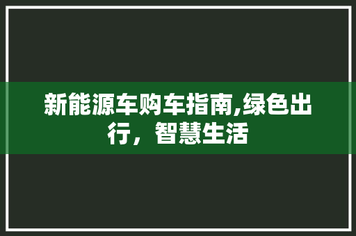 新能源车购车指南,绿色出行，智慧生活