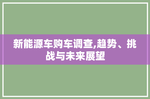 新能源车购车调查,趋势、挑战与未来展望