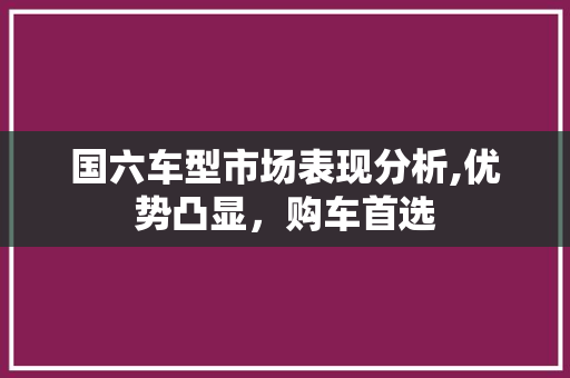 国六车型市场表现分析,优势凸显，购车首选