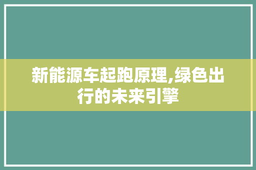 新能源车起跑原理,绿色出行的未来引擎