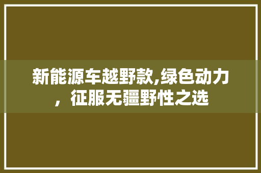 新能源车越野款,绿色动力，征服无疆野性之选