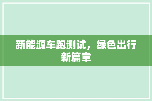 新能源车跑测试，绿色出行新篇章
