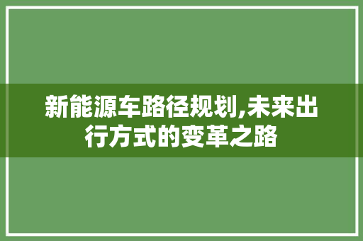 新能源车路径规划,未来出行方式的变革之路