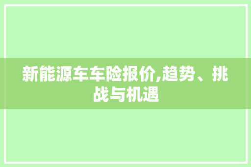 新能源车车险报价,趋势、挑战与机遇