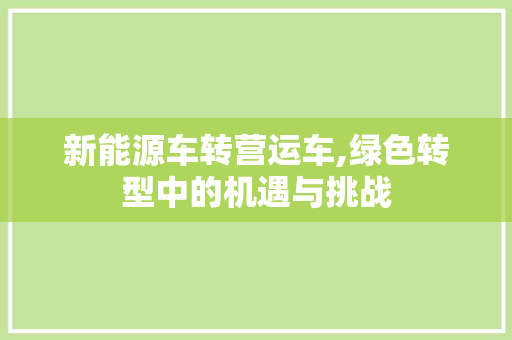 新能源车转营运车,绿色转型中的机遇与挑战