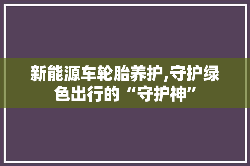 新能源车轮胎养护,守护绿色出行的“守护神”
