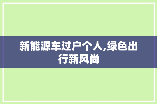 新能源车过户个人,绿色出行新风尚
