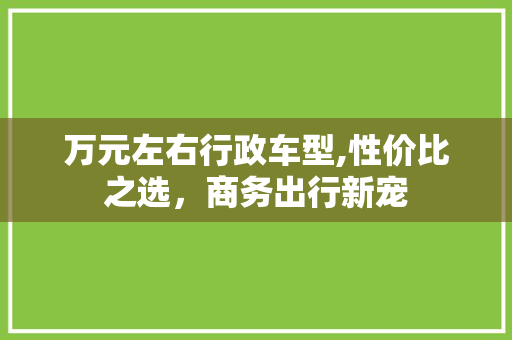 万元左右行政车型,性价比之选，商务出行新宠