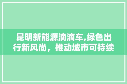 昆明新能源滴滴车,绿色出行新风尚，推动城市可持续发展