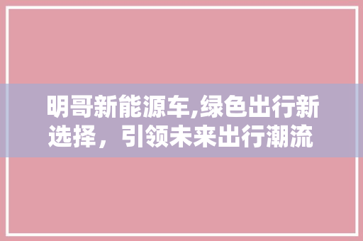 明哥新能源车,绿色出行新选择，引领未来出行潮流