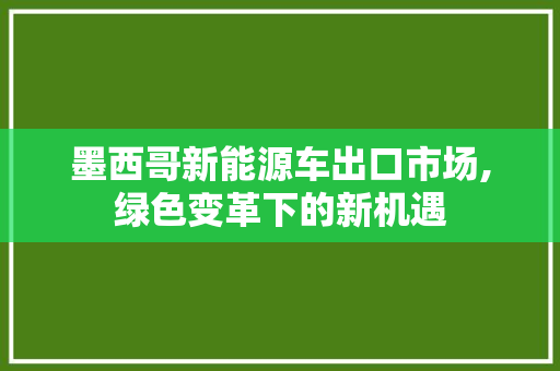 墨西哥新能源车出口市场,绿色变革下的新机遇