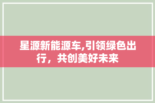 星源新能源车,引领绿色出行，共创美好未来