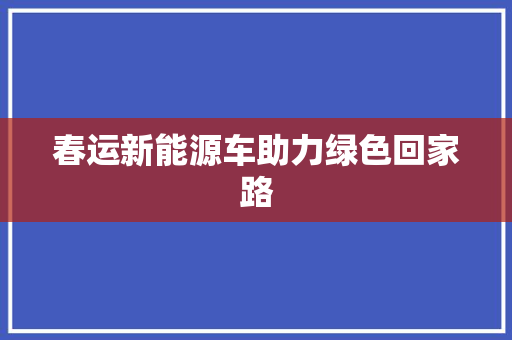 春运新能源车助力绿色回家路