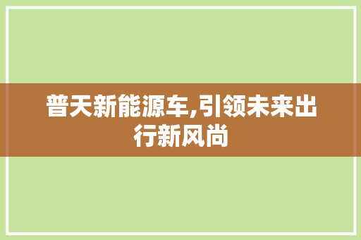 普天新能源车,引领未来出行新风尚