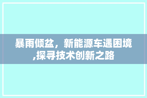 暴雨倾盆，新能源车遇困境,探寻技术创新之路