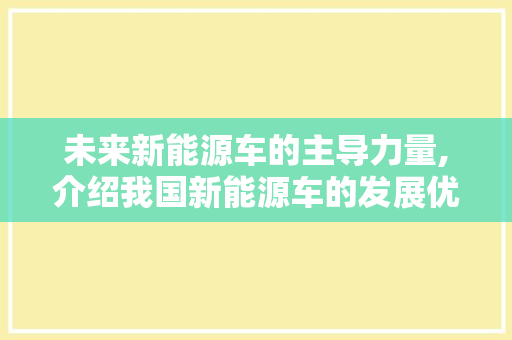 未来新能源车的主导力量,介绍我国新能源车的发展优势